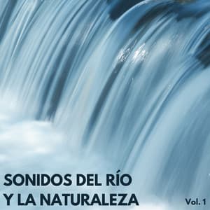 Sonidos Del Río Y La Naturaleza Vol. 1 - El Proyecto Naturaleza
