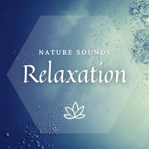 Relaxation - Meditway
