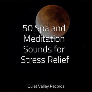 50 Spa and Meditation Sounds for Stress Relief - Rainforest