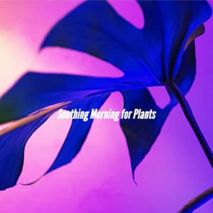 Soothing Morning for Plants - Cafe Music