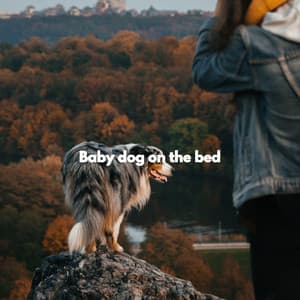 Baby dog on the bed - Dog Music