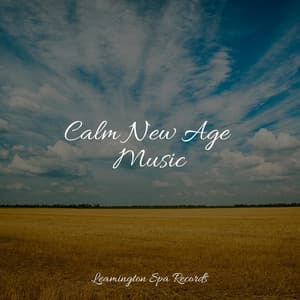 Calm New Age Music - Natural Sound Makers