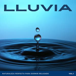 Lluvia: Naturaleza Perfecta Para Dormir Relajado Vol. 1 - Sonidos de lluvia para dormir profundo
