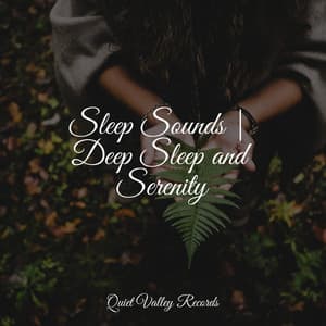 Sleep Sounds | Deep Sleep and Serenity - Avslappning Sound