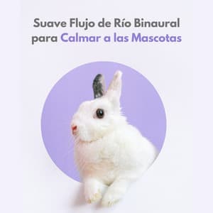 Suave Flujo De Río Binaural Para Calmar A Las Mascotas - Ruido de agua