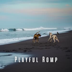 Playful Romp: Ambient Music for Active Dogs - Happy Playlisted Music