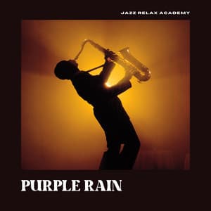 Purple Rain: Jazz Piano - Jazz Relax Academy