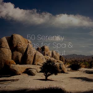 50 Serenity Songs for Spa & Chilling Out - Massage Therapy Music