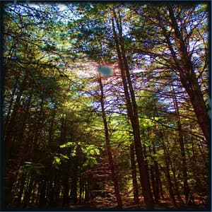 Sensory Reprogramming - Zen Meditate