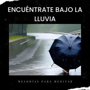 Encuéntrate Bajo La Lluvia: Melodías Para Meditar - Entrenamiento Autògeno y Meditación Specialistas