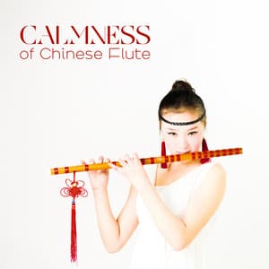 Calmness of Chinese Flute - Ada Plackes