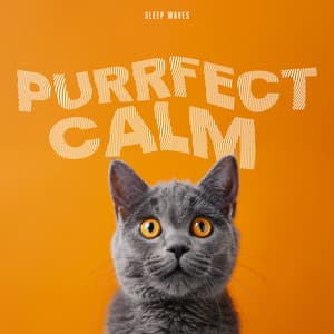 Purrfect Calm - Animal Melody Wizard
