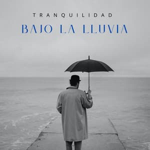 Tranquilidad Bajo La Lluvia - Bonitos ruidos de lluvia