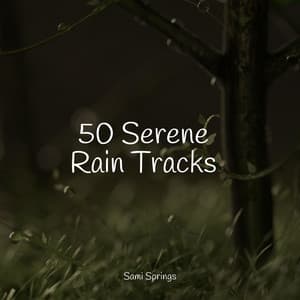 50 Serene Rain Tracks - Relaxing Nature Music