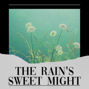The Rain's Sweet Might - Rainfall Meditations