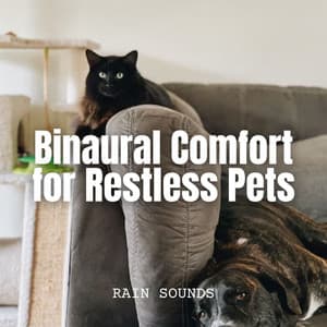 Rain Sounds: Binaural Comfort for Restless Pets - Rain Studios