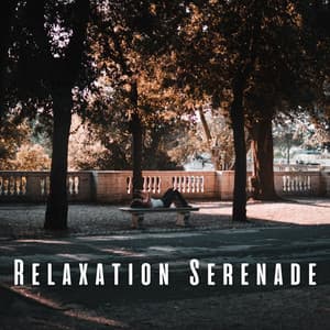 Relaxation Serenade: Peaceful Music Retreat - Chill Out 2020