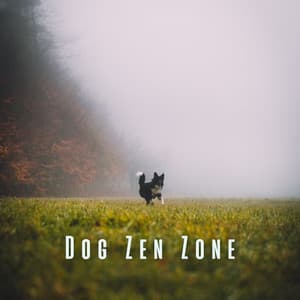 Dog Zen Zone: White Noise and Rain for Calming Canine Vibes - Cloud Cover
