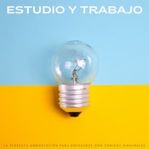 Estudio Y Trabajo: La Perfecta Ambientación Para Enfocarse Con Sonidos Binaurales - Musica Para Estudiar Academy