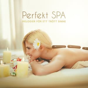 Perfekt SPA: Melodier för ett trött sinne - Andlig Musiksamling