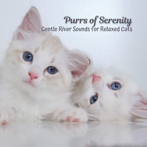 Purrs of Serenity: Gentle River Sounds for Relaxed Cats - Natural Waters