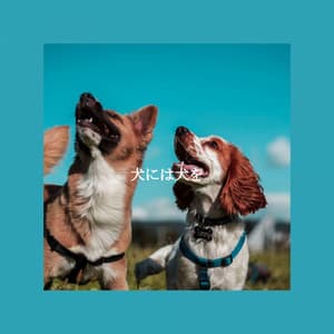 犬には犬を - Chill Out Jazz Radio
