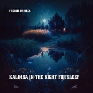 Kalimba in the Night for Sleep - Freddie Daniels