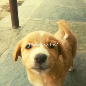 平和のわん・ストップ - Musique pour Travailler Classiques