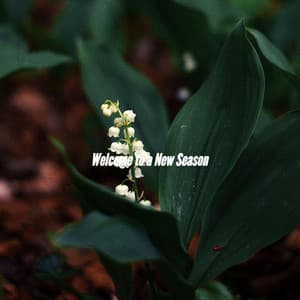 Welcome to a New Season - Jazz and Chill