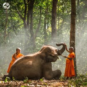 Guided Meditation - Tamera