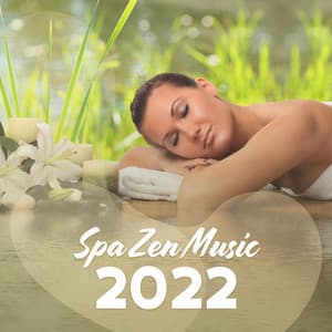Spa Zen Music 2022 - Zone de la musique zen