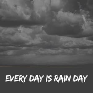 Every Day is Rain Day - Recording Nature