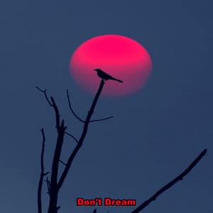 Don't Dream - Triste chico LoFi