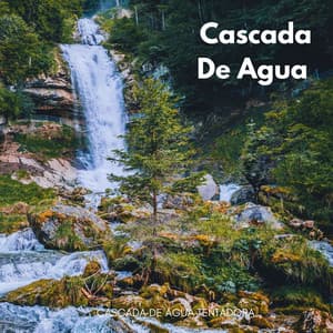 Cascada De Agua Tentadora - Paisajes sonoros de roca de agua