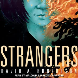 Strangers - David Robertson