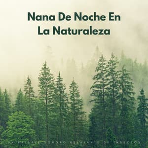 Nana De Noche En La Naturaleza: Un Paisaje Sonoro Relajante De Insectos - Grillos del bosque