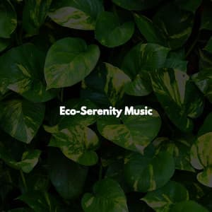 Eco-Serenity Music - Jazz Lounge Bar Radio