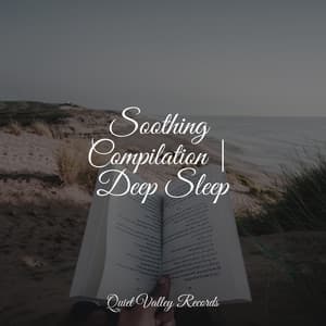 Soothing Compilation | Deep Sleep - Relaxing Nature Sounds Collection