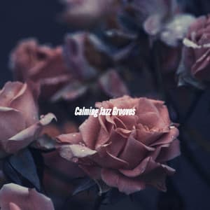 Calming Jazz Grooves - Cocktail Jazz Deluxe