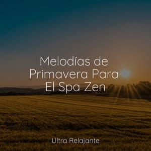 Melodías de Primavera Para El Spa Zen - Dormir e Meditar
