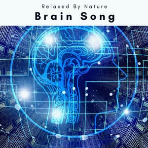 Brain Song - 432Hz Orbit Energy