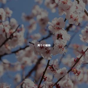 周りの植物 - Slow Relaxing Jazz