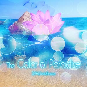 The Color of Paradise Spa & Wellness - Background Music for Sensual Massage, New Age, Soothing Music, Harmony of Senses, Music and Pure Nature Sounds for Stress Relief - Paradise Spa Music Academy