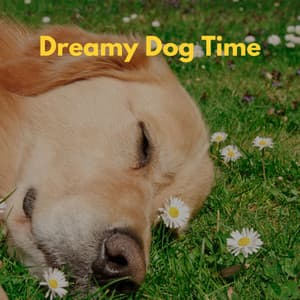 Dreamy Dog Time - Relaxing Jazz
