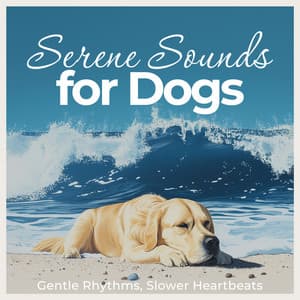 Serene Sounds for Dogs – Gentle Rhythms, Slower Heartbeats - Relaxmydog