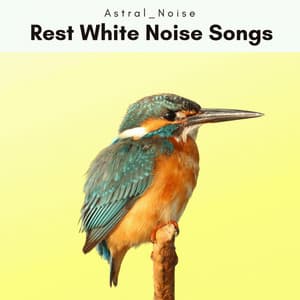 A Rest White Noise Songs - Astral Noise