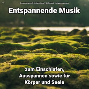 ! ! ! ! ! Entspannende Musik zum Einschlafen, Ausspannen sowie für Körper und Seele - Entspannungsmusik für tiefen Schlaf