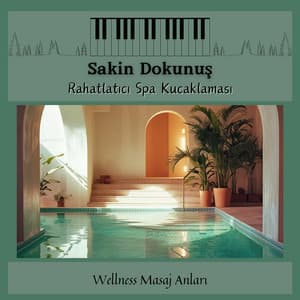 Sakin Dokunuş - Rahatlatıcı Spa Kucaklaması - Wellness Masaj Anları