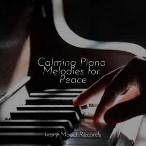 Calming Piano Melodies for Peace - Ivory Mood