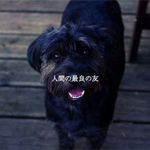 人間の最良の友 - Morgen Jazz